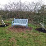 New trees either side of Ken's bench